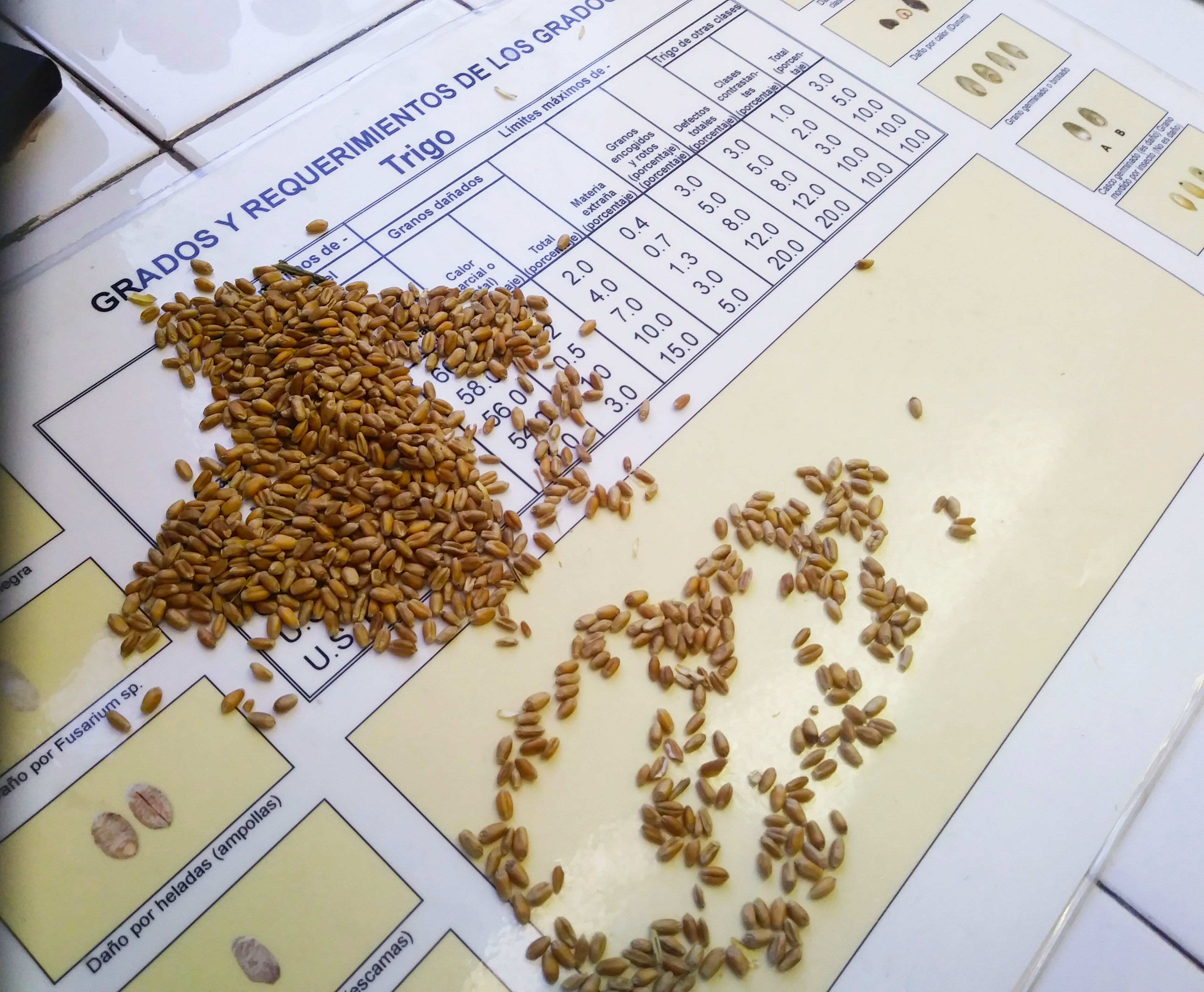 Molinería y relacionados