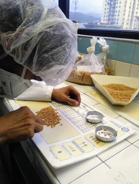 Molinería y relacionados