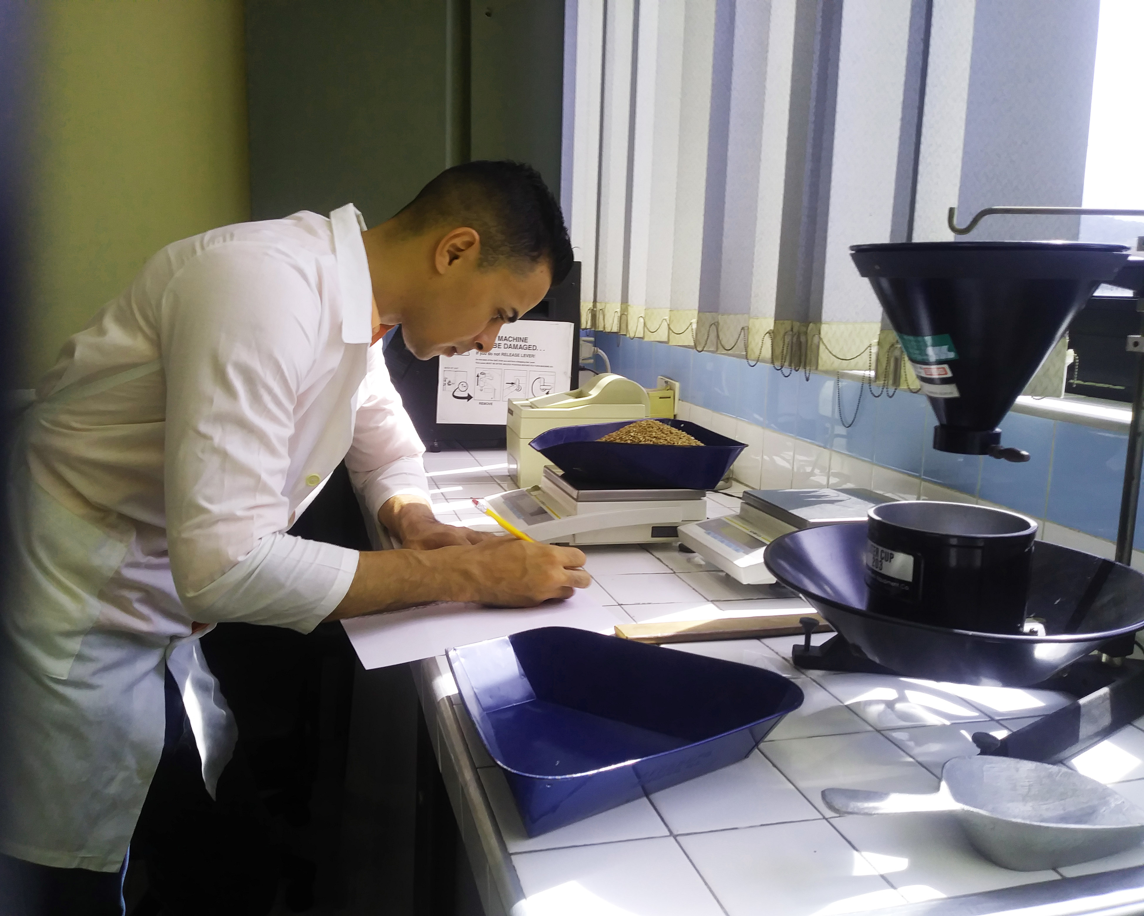 Molinería y relacionados